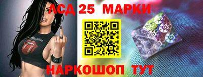 гидра Будённовск