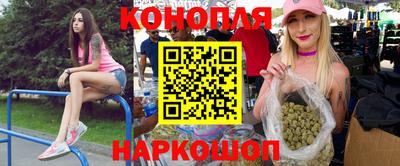 гидра Будённовск
