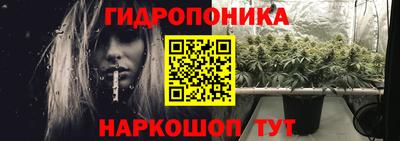 гидра Будённовск