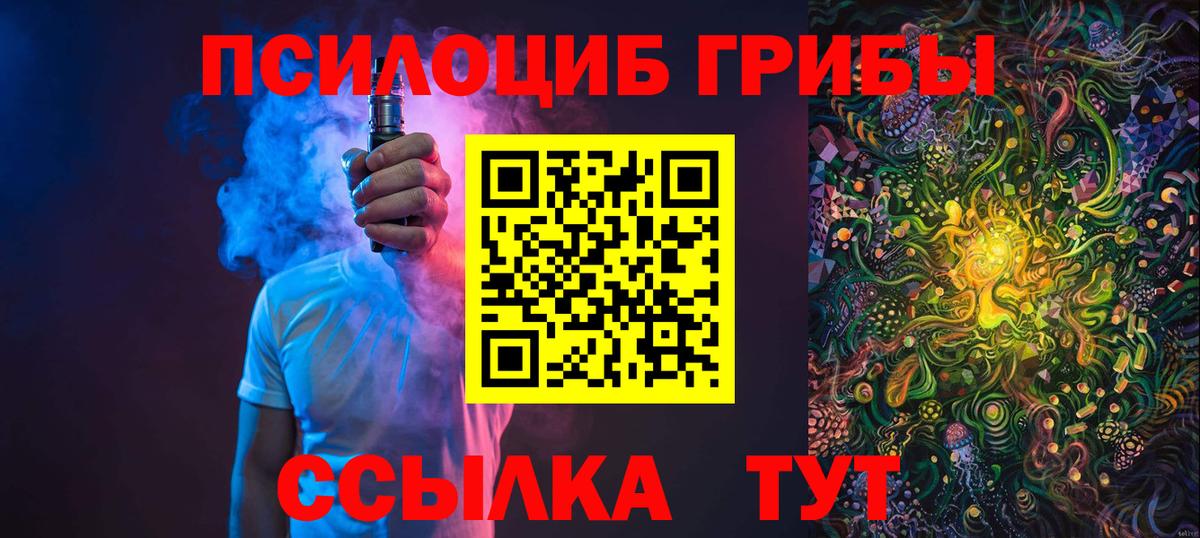 Элиста  Галлюциногенные грибы мицелий  Вход с VPN 