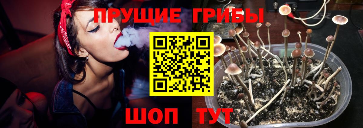 Галлюциногенные грибы прущие грибы Элиста